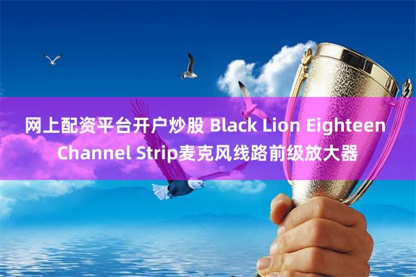 网上配资平台开户炒股 Black Lion Eighteen Channel Strip麦克风线路前级放大器