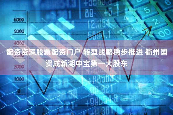 配资资深股票配资门户 转型战略稳步推进 衢州国资成新湖中宝第一大股东